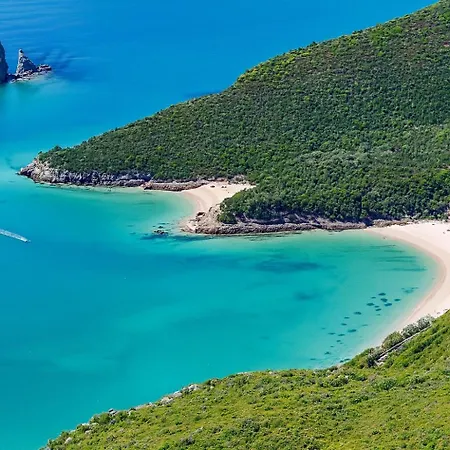 Large Group Stay, By Timecooler