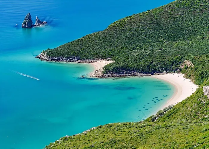 Large Group Stay, By Timecooler